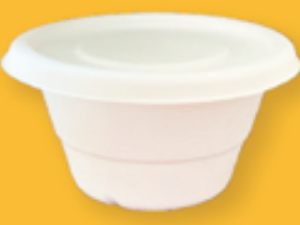 500ml Round  Container - 1000 PCS/CTN