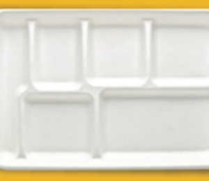 6 Compartment Export  Rectangular Tray - 250 PCS/CTN