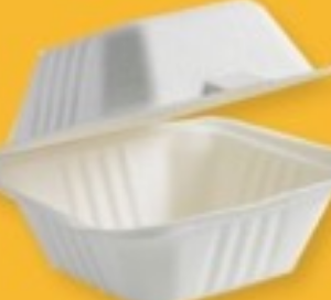 6 Inch x 6 Inch Burger Box (450ml) - 500 PCS/CTN