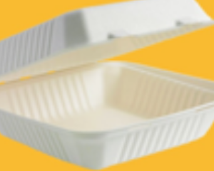 8 x 8 Inch 1 Compartment Clamshell Box - 200 PCS/CTN